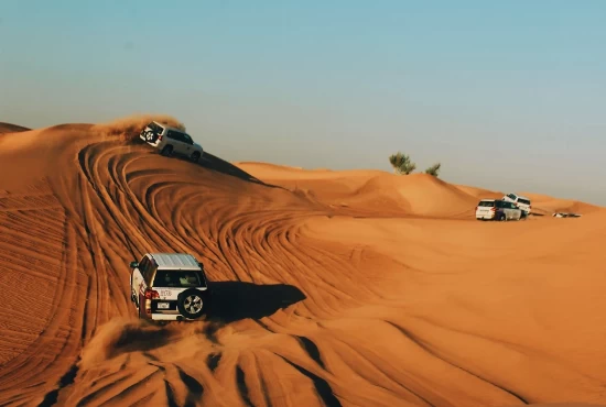 From Desert to Metropolis: Exploring Dubai's Top Attractions and Activities